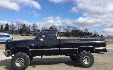 Chevrolet-Ck-pickup-12-ton-nominal-1985-black-217261-2