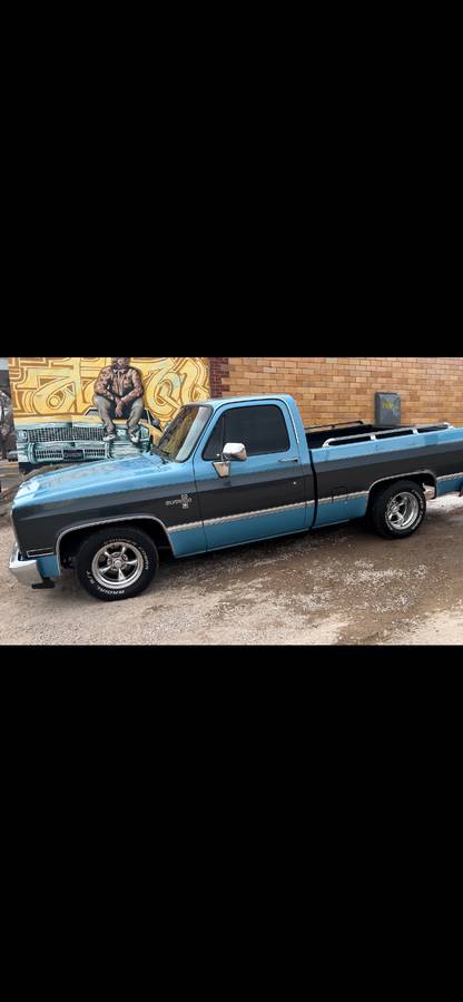 Chevrolet-Ck-pickup-12-ton-nominal-1986-blue-193121-2