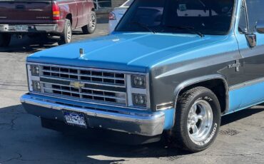 Chevrolet-Ck-pickup-12-ton-nominal-1986-blue-193121-3