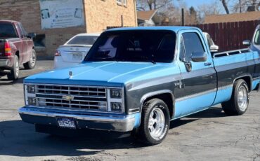 Chevrolet-Ck-pickup-12-ton-nominal-1986-blue-193121-4