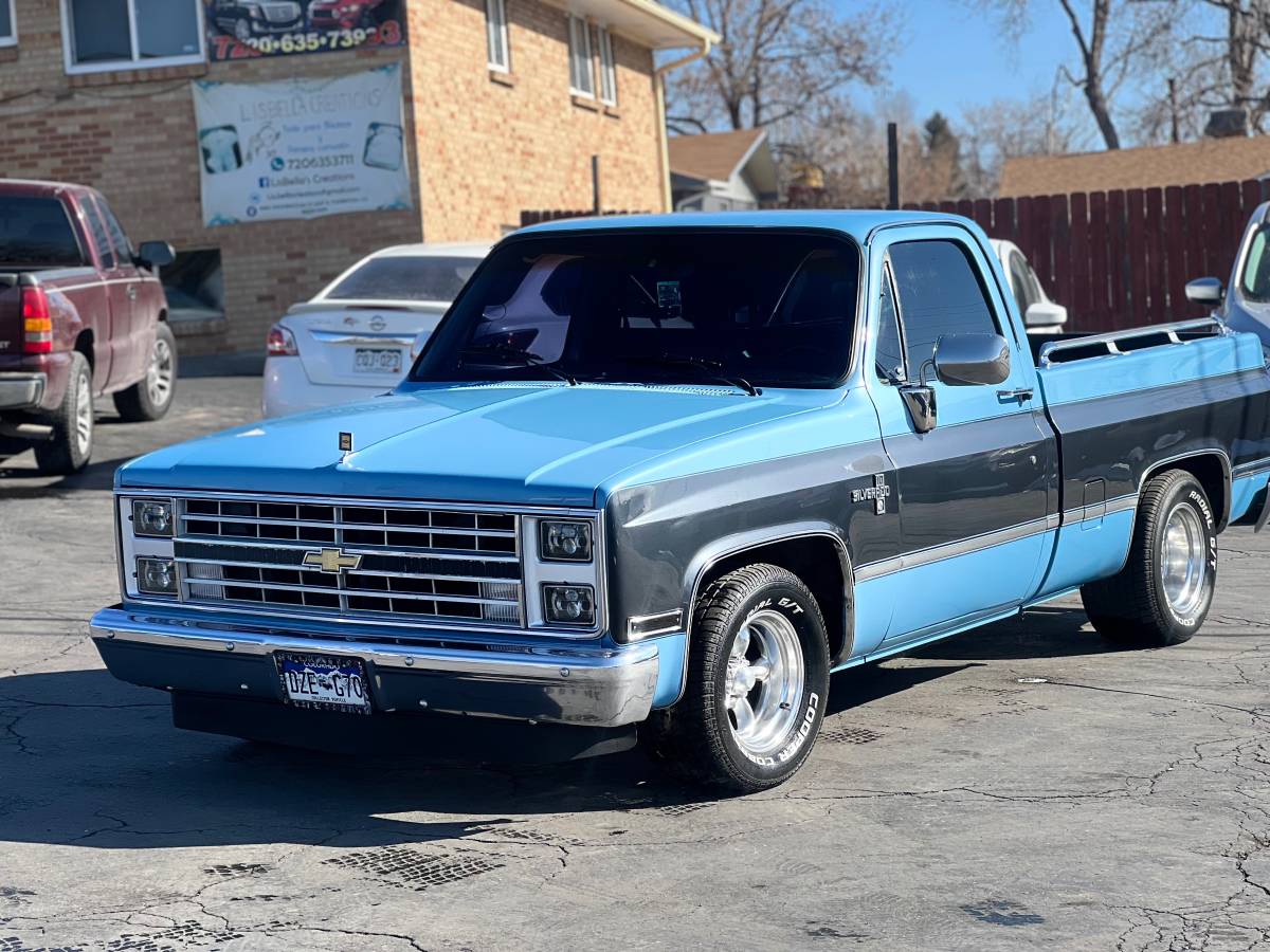 Chevrolet-Ck-pickup-12-ton-nominal-1986-blue-193121-4