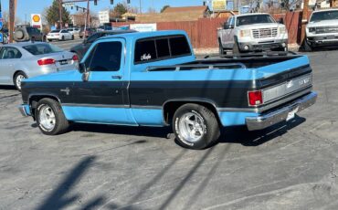 Chevrolet-Ck-pickup-12-ton-nominal-1986-blue-193121-5