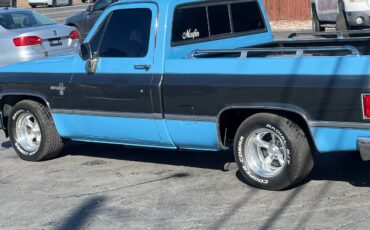 Chevrolet-Ck-pickup-12-ton-nominal-1986-blue-193121-8