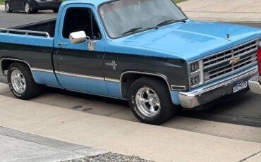 Chevrolet-Ck-pickup-12-ton-nominal-1986-blue-193121-9