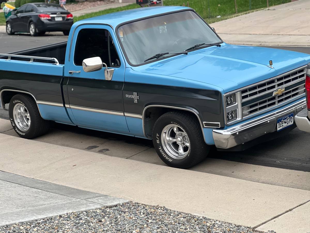 Chevrolet-Ck-pickup-12-ton-nominal-1986-blue-193121-9