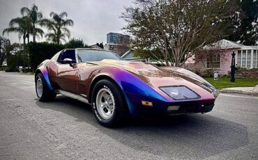 Chevrolet-Corvette-1973-black-118361-9