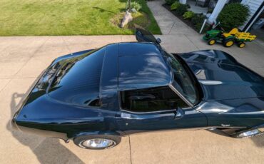 Chevrolet-Corvette-1979-blue-196677-13