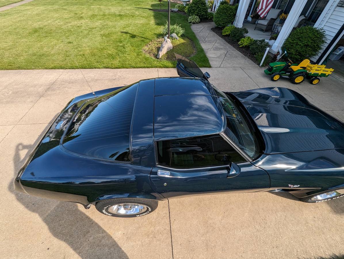 Chevrolet-Corvette-1979-blue-196677-13