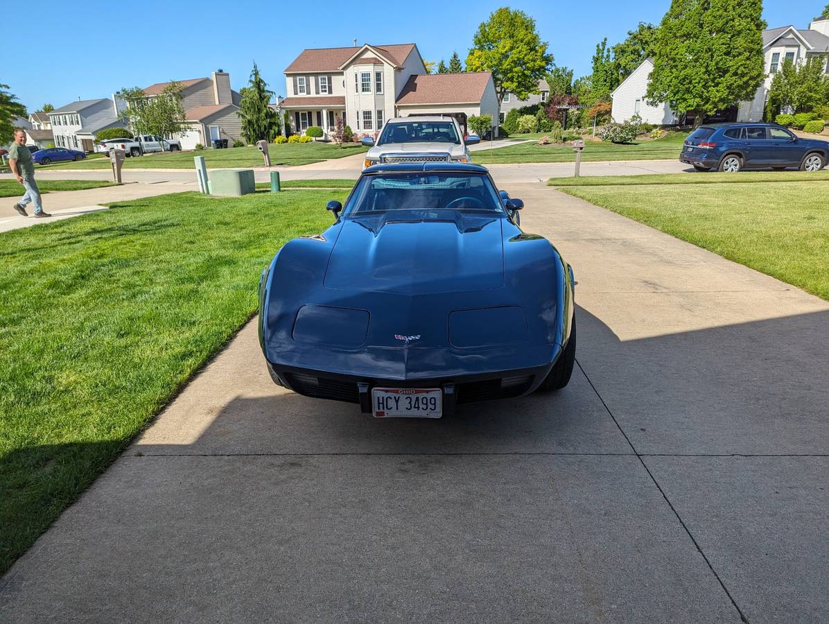 Chevrolet-Corvette-1979-blue-196677-17