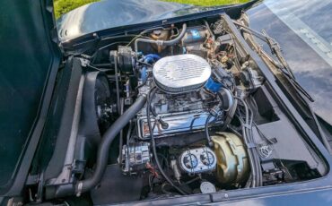 Chevrolet-Corvette-1979-blue-196677-18