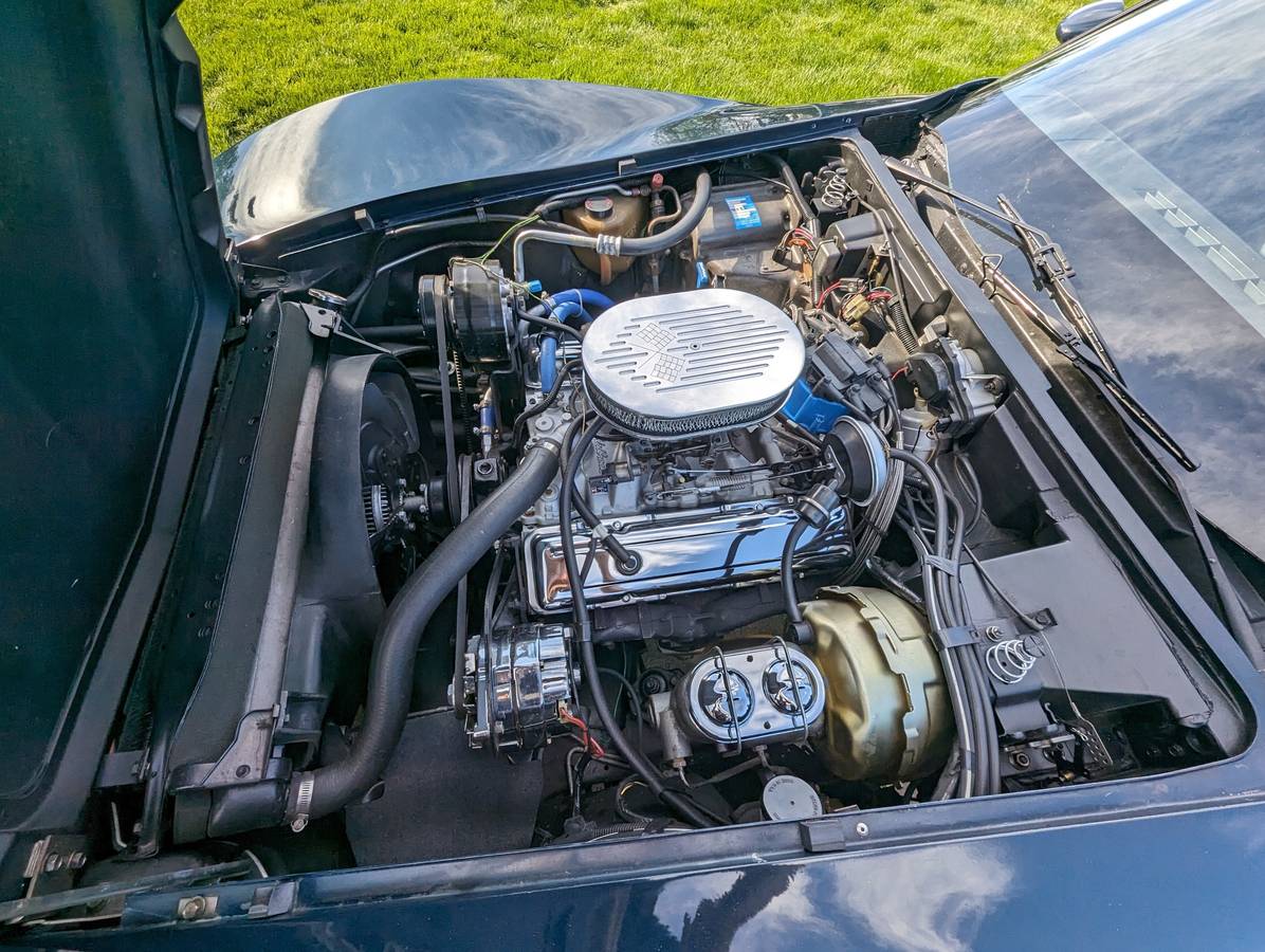 Chevrolet-Corvette-1979-blue-196677-18