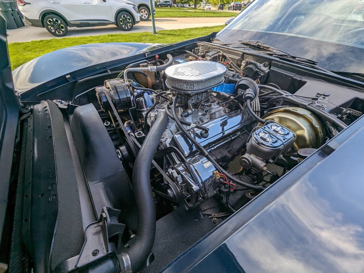 Chevrolet-Corvette-1979-blue-196677-19