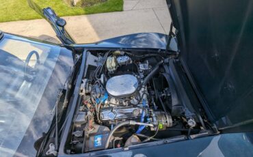 Chevrolet-Corvette-1979-blue-196677-20