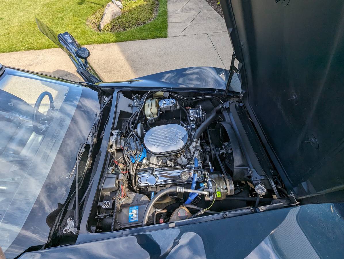 Chevrolet-Corvette-1979-blue-196677-20