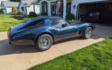 Chevrolet-Corvette-1979-blue-196677-21