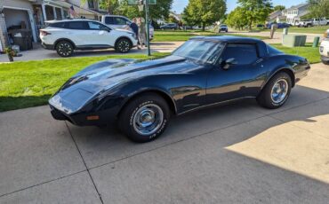 Chevrolet-Corvette-1979-blue-196677-23