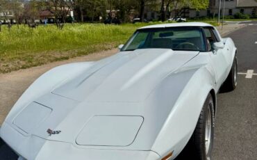 Chevrolet-Corvette-1979-white-8047-1