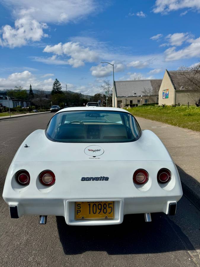 Chevrolet-Corvette-1979-white-8047-10