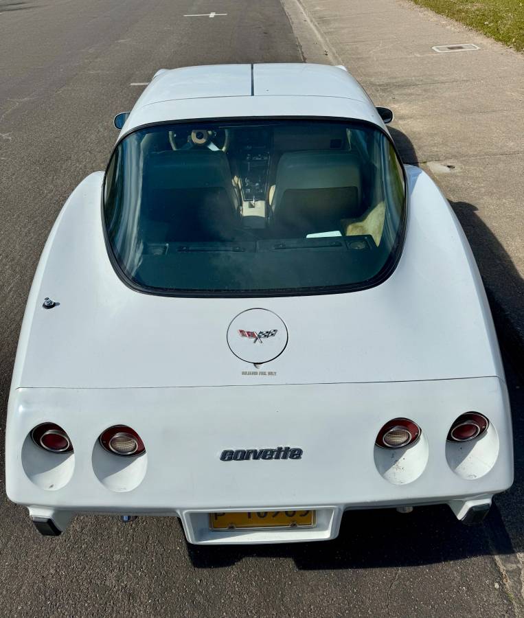 Chevrolet-Corvette-1979-white-8047-11