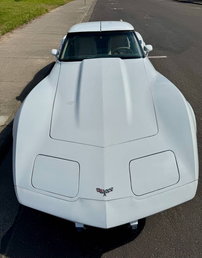 Chevrolet-Corvette-1979-white-8047-12