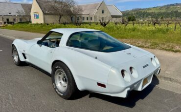 Chevrolet-Corvette-1979-white-8047-4