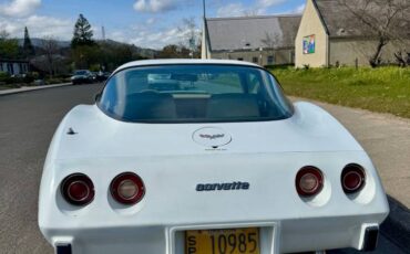 Chevrolet-Corvette-1979-white-8047-5