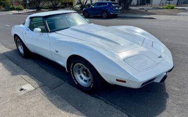 Chevrolet-Corvette-1979-white-8047-7