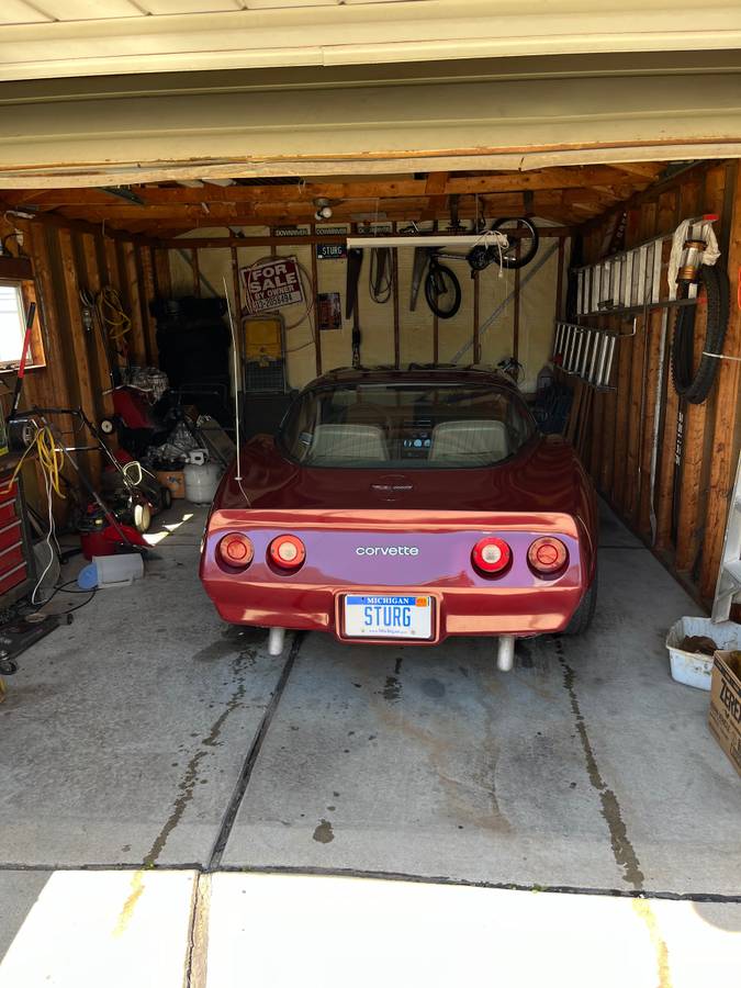 Chevrolet-Corvette-1981-134863-2