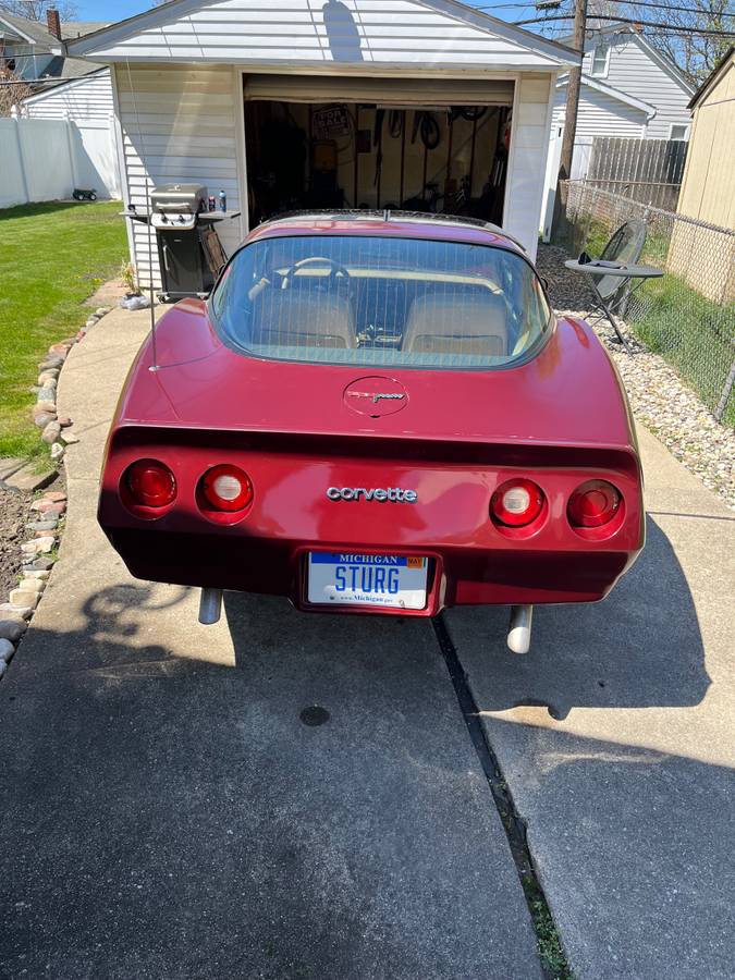 Chevrolet-Corvette-1981-134863-3