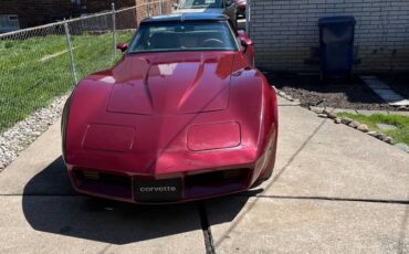 Chevrolet-Corvette-1981-134863-5