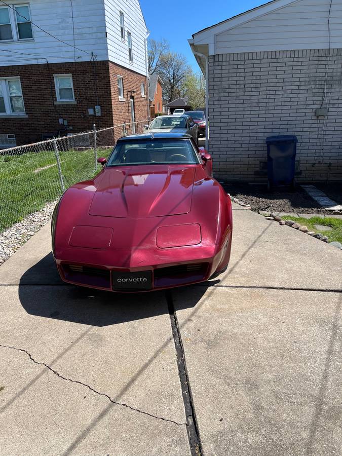 Chevrolet-Corvette-1981-134863-5