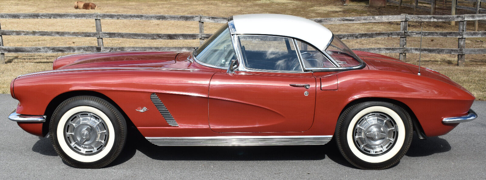 Chevrolet-Corvette-Cabriolet-1962-89319-1