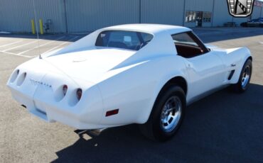 Chevrolet-Corvette-Coupe-1974-White-Maroon-169725-7