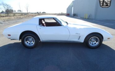 Chevrolet-Corvette-Coupe-1974-White-Maroon-169725-8