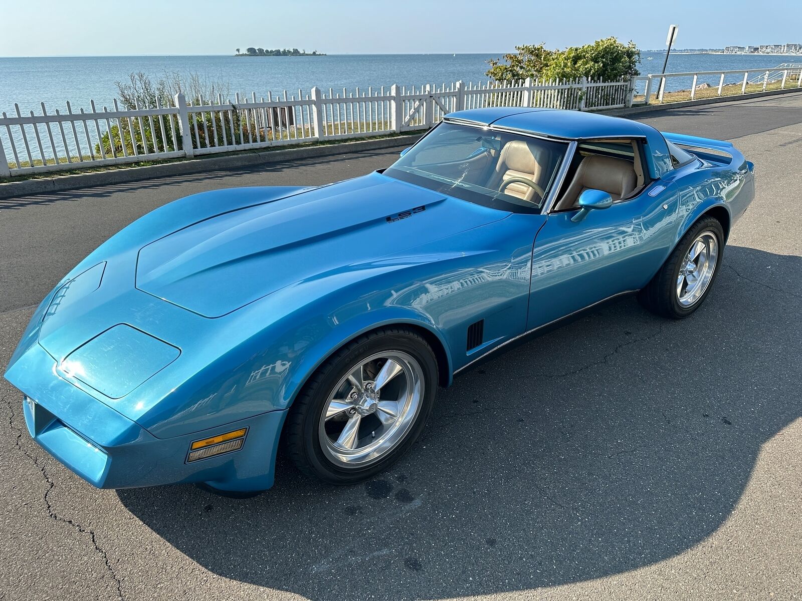 Chevrolet-Corvette-Coupe-1980-Blue-Saddle-139562-1