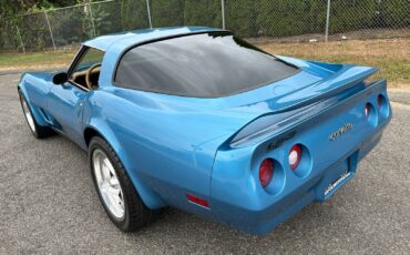 Chevrolet-Corvette-Coupe-1980-Blue-Saddle-139562-11