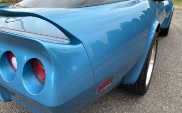 Chevrolet-Corvette-Coupe-1980-Blue-Saddle-139562-14