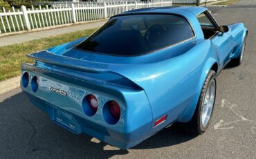 Chevrolet-Corvette-Coupe-1980-Blue-Saddle-139562-3