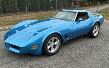 Chevrolet-Corvette-Coupe-1980-Blue-Saddle-139562-34