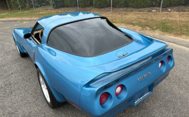 Chevrolet-Corvette-Coupe-1980-Blue-Saddle-139562-36