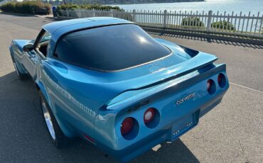 Chevrolet-Corvette-Coupe-1980-Blue-Saddle-139562-6