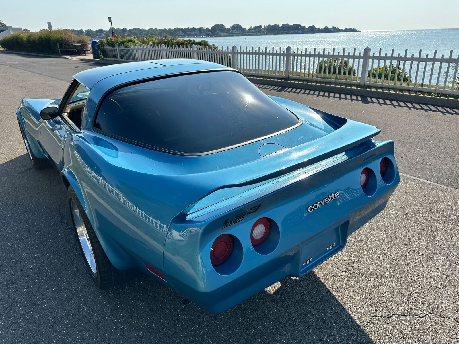 Chevrolet-Corvette-Coupe-1980-Blue-Saddle-139562-6