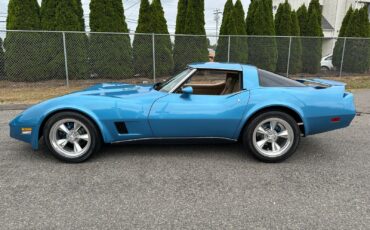 Chevrolet-Corvette-Coupe-1980-Blue-Saddle-139562-9