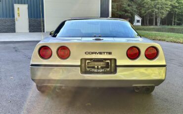 Chevrolet-Corvette-Coupe-1985-Silver-Gray-32142-11