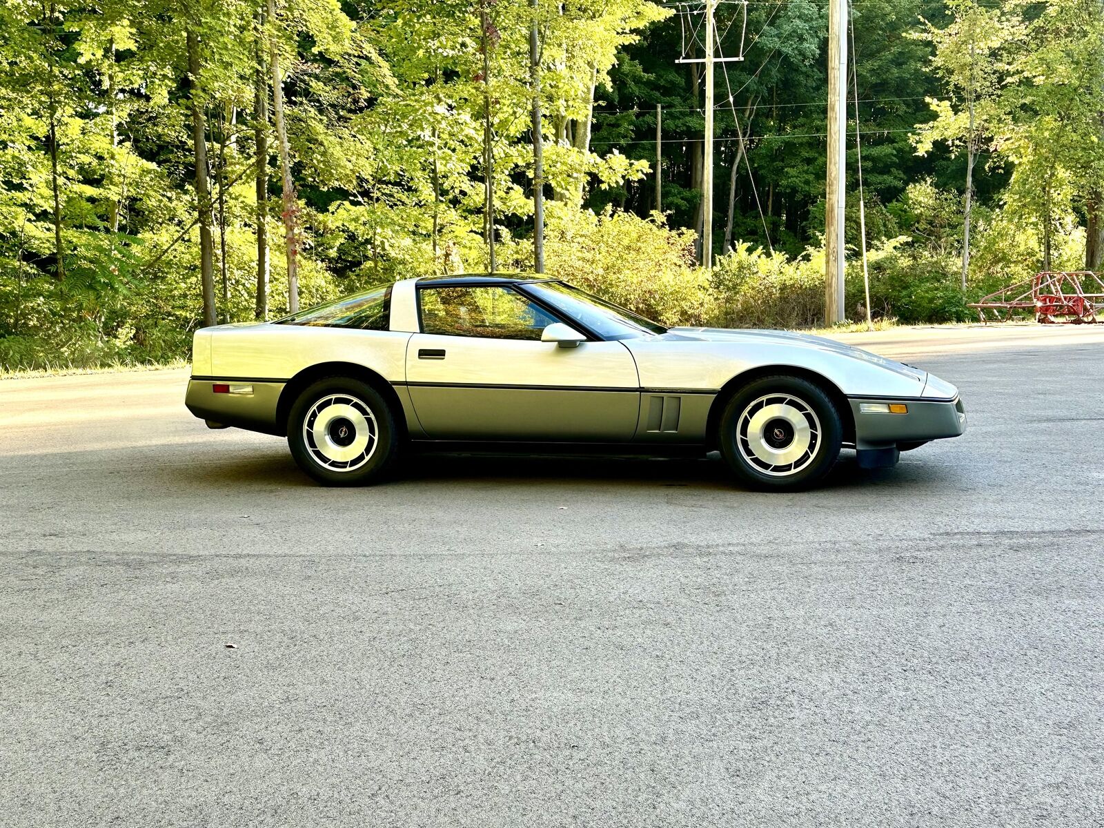 Chevrolet-Corvette-Coupe-1985-Silver-Gray-32142-5