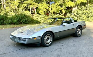 Chevrolet-Corvette-Coupe-1985-Silver-Gray-32142-8