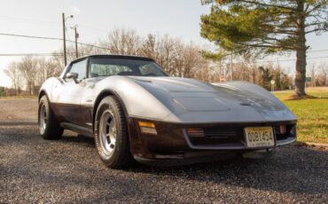 Chevrolet-Corvette-coupe-1982-silver-28968-1