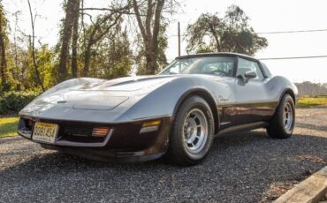 Chevrolet-Corvette-coupe-1982-silver-28968-2