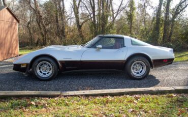 Chevrolet-Corvette-coupe-1982-silver-28968-3