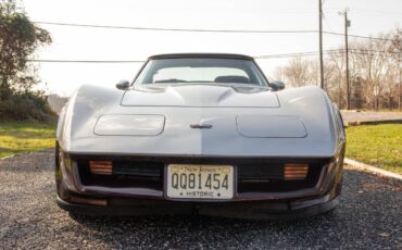 Chevrolet-Corvette-coupe-1982-silver-28968